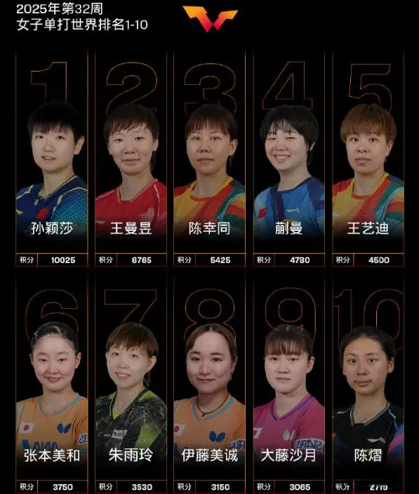 王艺迪, 手王艺迪
