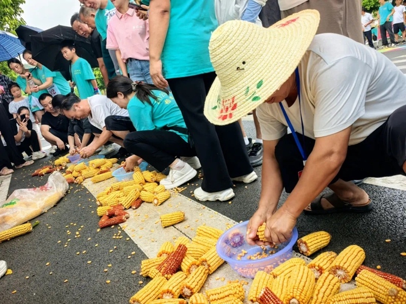 上阵, img, msn 上阵, img, msn